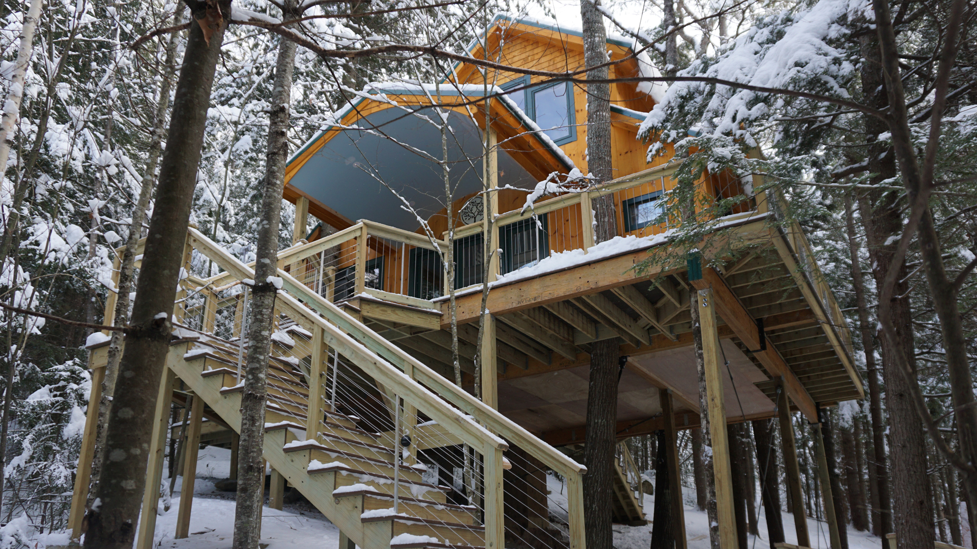 The Treehouse
